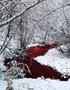 Rivers of Red