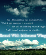 Blessed With Iridescent Wings