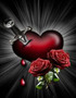 I Almost Told You I Loved You