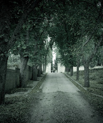 Cemetery Drive