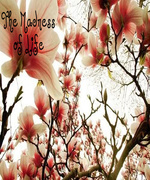 The Madness of Life