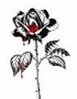 My Blood On a Black Rose