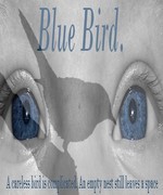 Blue Bird.