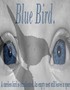 Blue Bird.