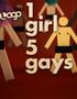 1 Girl 5 Gays
