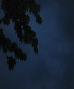 Midnight Storms
