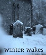 Winter Wakes