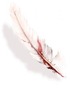 Red Ink, White Feather