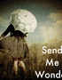 Send Me Wonder