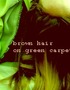 Brown Hair on Green Carpet