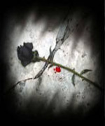 The Unforgotten Rose