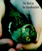 The Bird in the Handkerchief.
