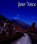 Your Voice.