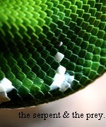 The Serpent and the Prey
