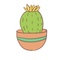 tumblingcactus