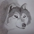 legitimatewolf