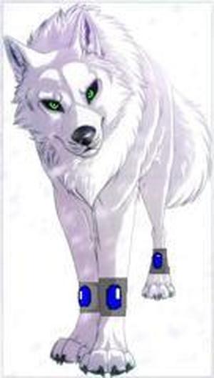 Ren Wolf